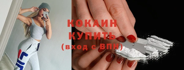 Альфа ПВП Богородск